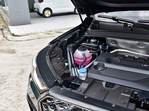 2025�� 290TGDI DCT�˷�� 