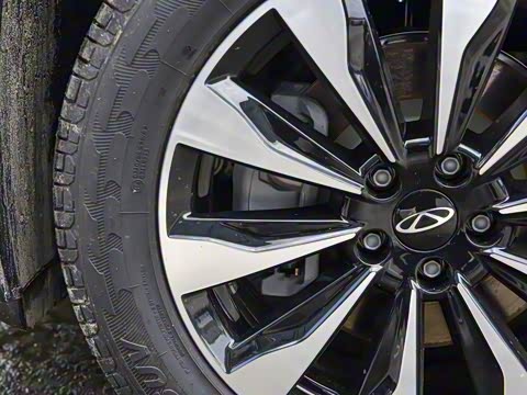 2025�� 290TGDI DCT�˷�� 