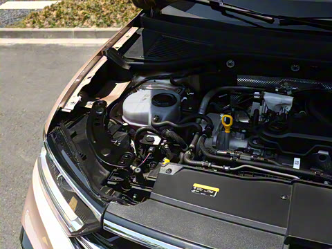 2024�� 300TSI DSG���������