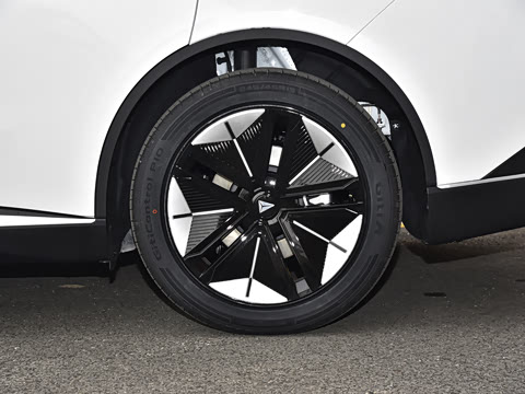 2025�� ���羫Ӣ��