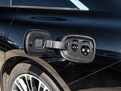 2024�� ���� Max ����������