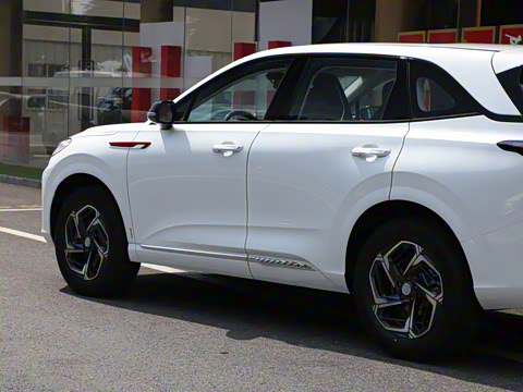 2024�� 1.5T ־Ϊ��