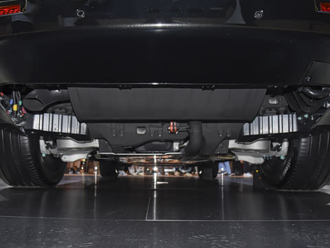 2025�� ������