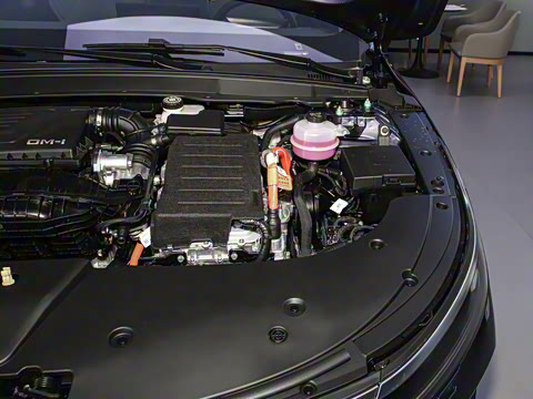 2024�� DM-i 55KM �캽��ҫ��