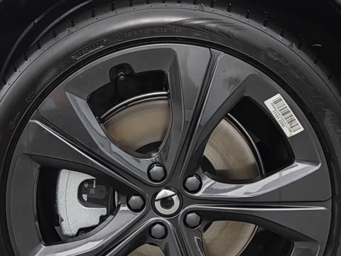 2026�� �Ͷ�������