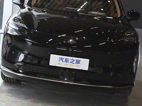 2025�� 825 Max��