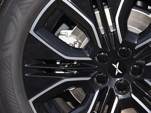 2025�� 725 �������� Max