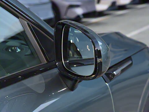 2025�� 725 �������� Max