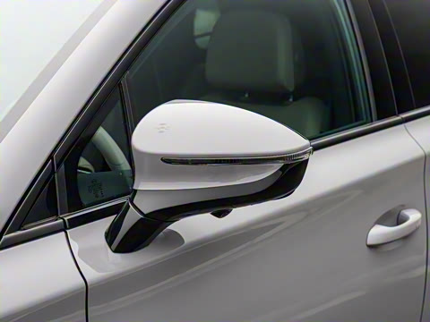 2025�� DM-i 115KM �콢��