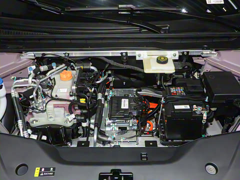 2025�� 520�����״��