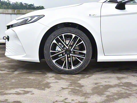 2024�� ˫�� 2.5HG ����