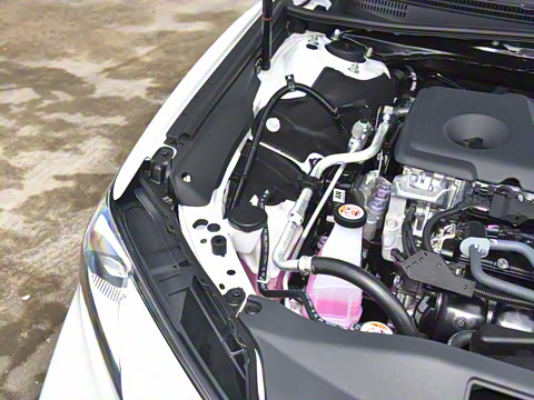 2024�� ˫�� 2.5HG ����