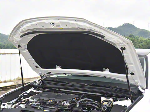 2024�� ˫�� 2.5HG ����