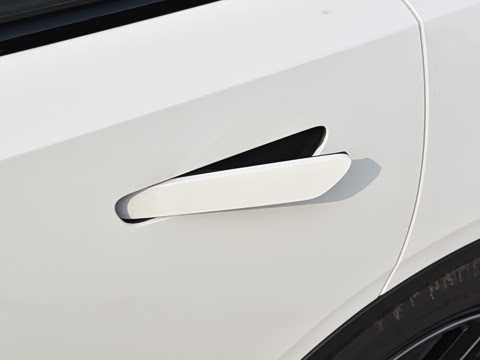 2024�� 530Max�����