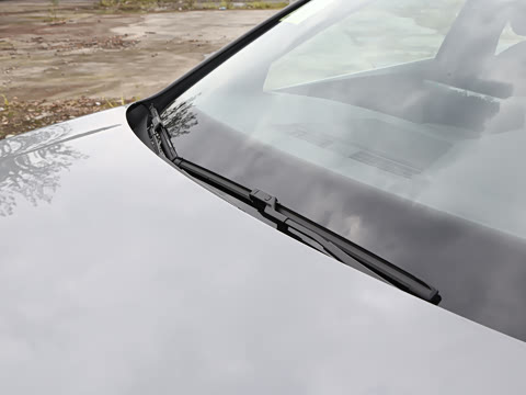 2025�� �Ŀ�� 300TSI R-Line