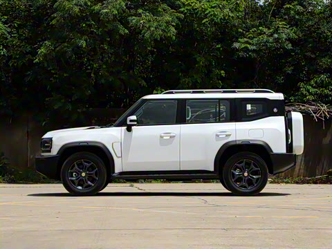 2025�� 2.0TD DCT XWD��Խ