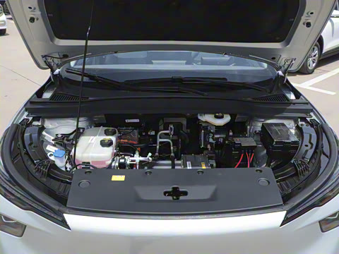 2025�� 445km ���ð�