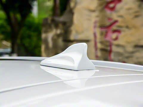 2025�� 1.5T �����ھ���