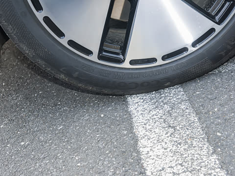 2025�� ������������������