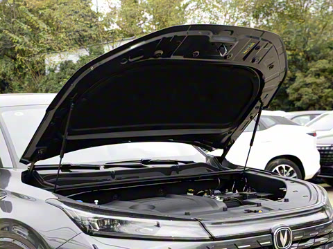 2024�� ������ �ھ��� 2.0T �Ǽݾ�����