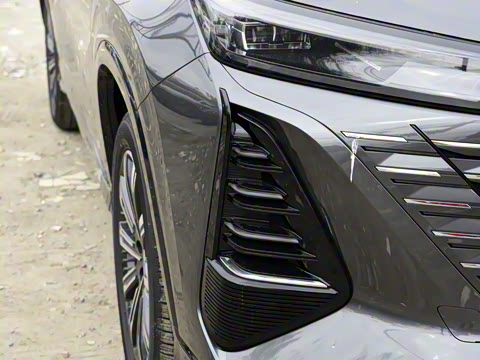 2024�� ������ �ھ��� 2.0T �Ǽݾ�����