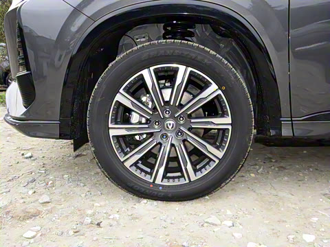 2024�� ������ �ھ��� 2.0T �Ǽݾ�����