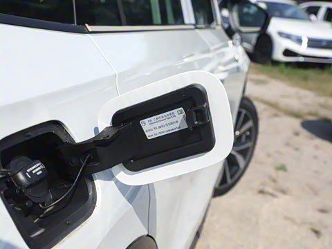 2024�� 380TSI ����R-LineѲ�� ������