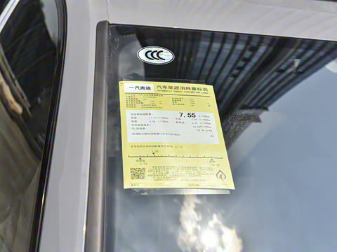 2025�� 200���������� 45 TFSI quattro ��ѡ������