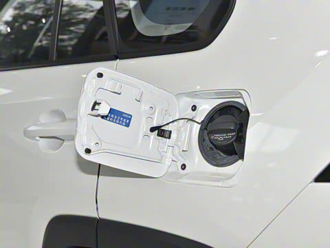 2023�� 2.5L ��������Pro