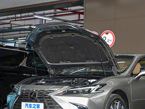 2025�� 300h ������