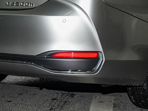 2025�� 300h ������