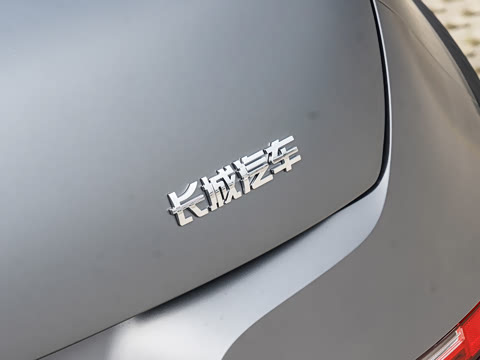 2024�� ľ���� 401km ������ 126kW