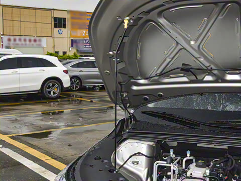 2026�� ������