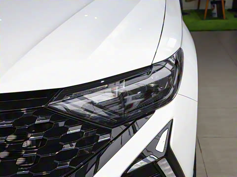 2024�� 280TSI �Զ������߹��