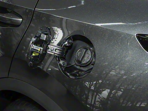 2025�� ����� 125 �캽��