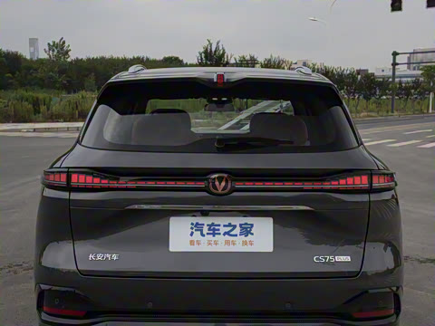 2025�� ���Ĵ� 1.5T ������ �ǻ��콢��