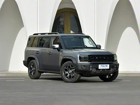 2025�� 2.0TD XWD �Զ�����+�ӳ��� 7��