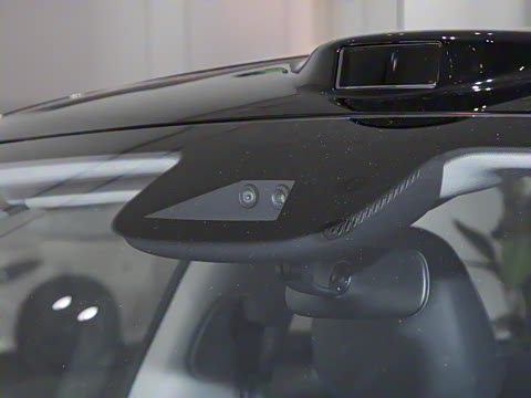 2025�� ����������������