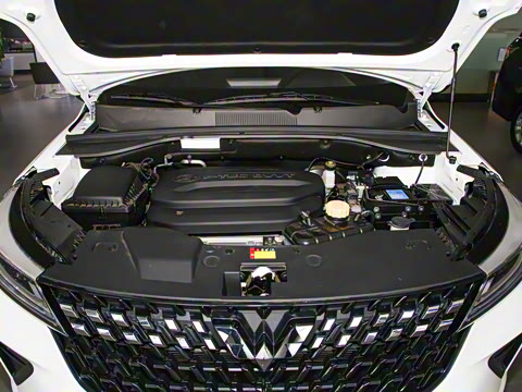 2022�� 1.5L �ֶ�������