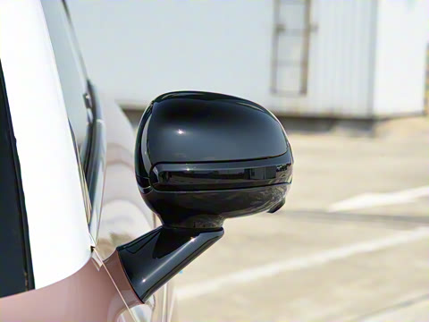 2026�� �鶯������