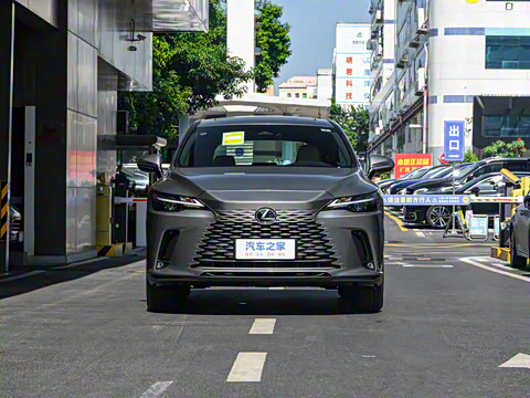 2025�� 300 ����������