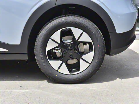 2025�� 310km �����