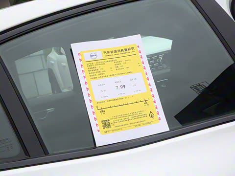 2025�� B5 �����˶���