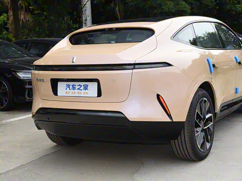 2025�� Max �����