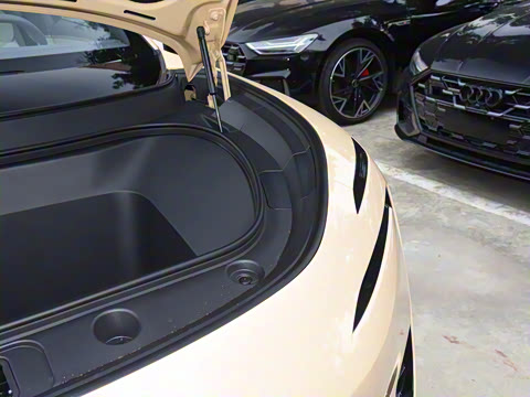 2025�� Max �����