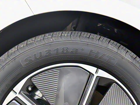 2024�� ���� ���������� ������