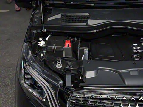 2025�� �������Ȱ�