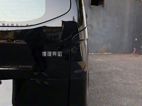 2025�� �������Ȱ�