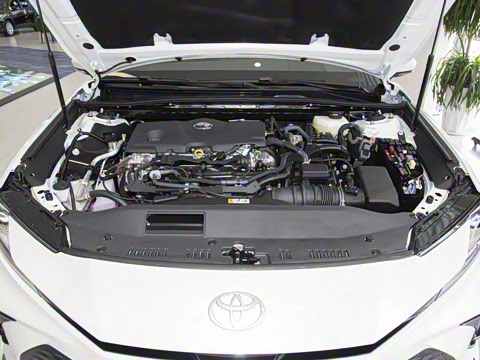 2024�� ˫�� 2.5HXS �˶�Plus��