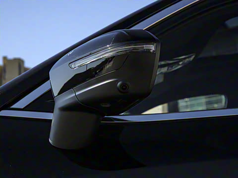 2025�� ������